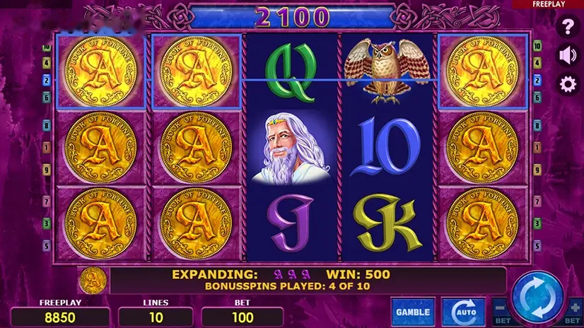 Imagem de Book of Fortune