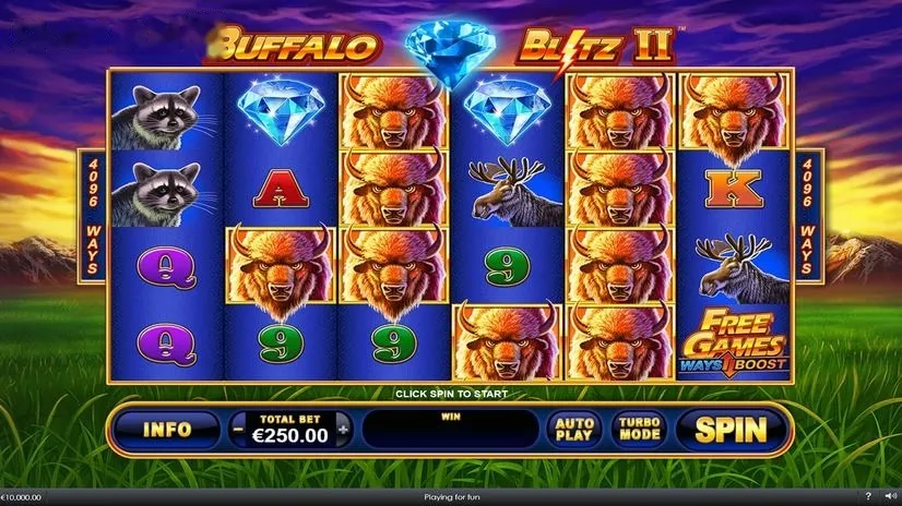 Imagem de Buffalo Blitz II