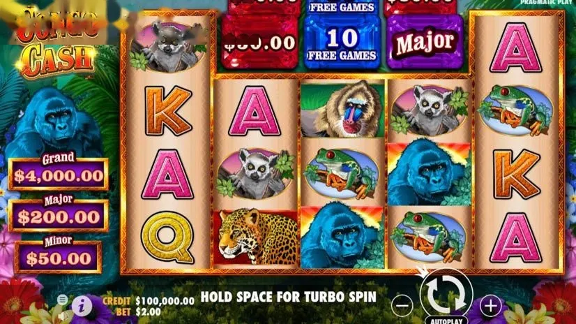 Imagem de Congo Cash