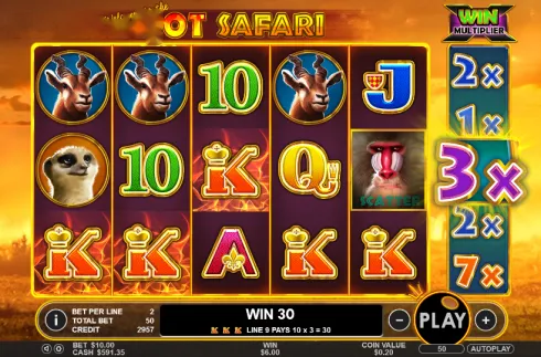 Imagem de Hot Safari