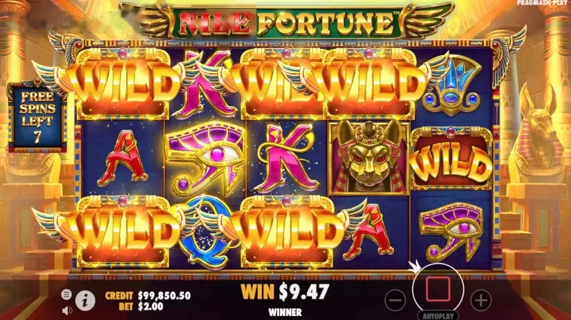 Imagem de Nile Fortunes