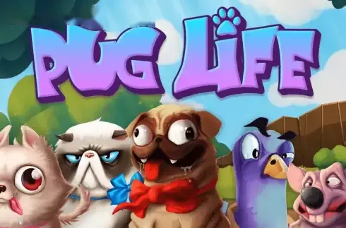 Imagem de Pug Life
