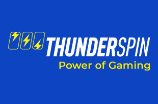 Logo Thunderspin